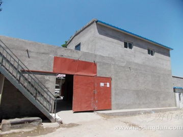 女短褲 服裝與面輔料的完美結合